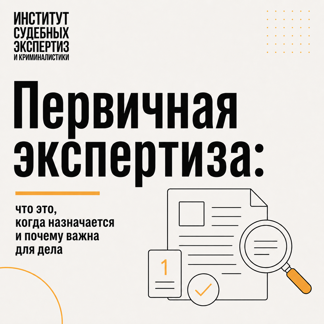 Первичная экспертиза